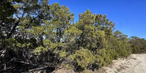 Image 3 Image 3