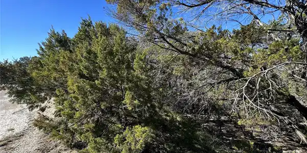 Image 4 Image 4