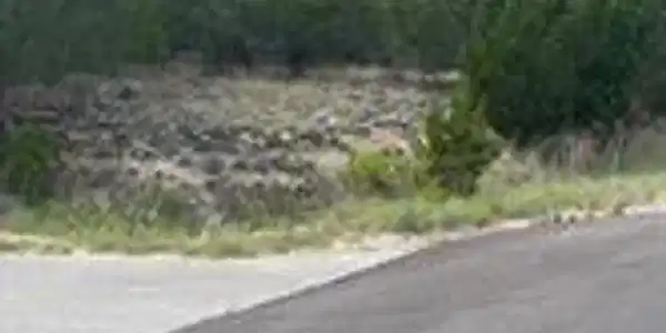 Image 2 Image 2