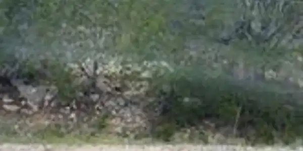 Image 3 Image 3