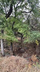 Lot 299 Sandy Mountain DR