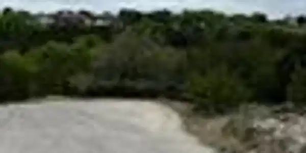 Image 2 Image 2