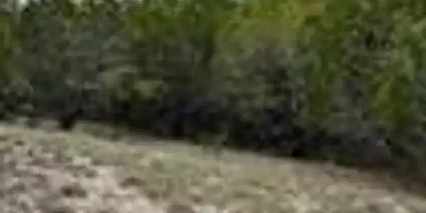 Image 3 Image 3