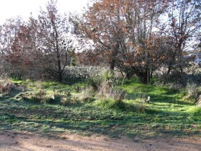 0 Johnson (Now Gravel Ln) ST