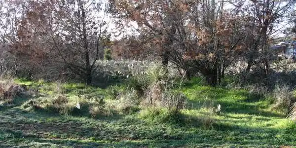 0 Johnson (Now Gravel Ln) ST