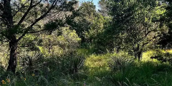 Image 4 Image 4