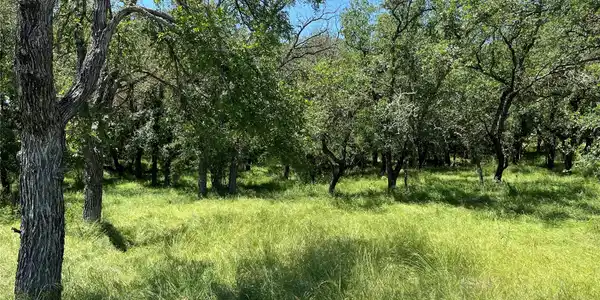 Image 2 Image 2