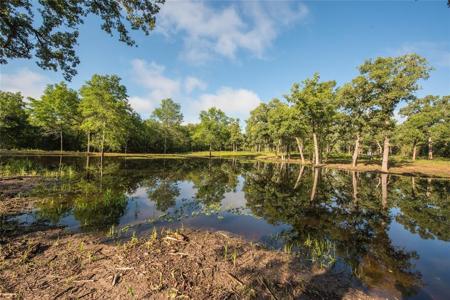 11414 County Road 162 (+/-221 acres)