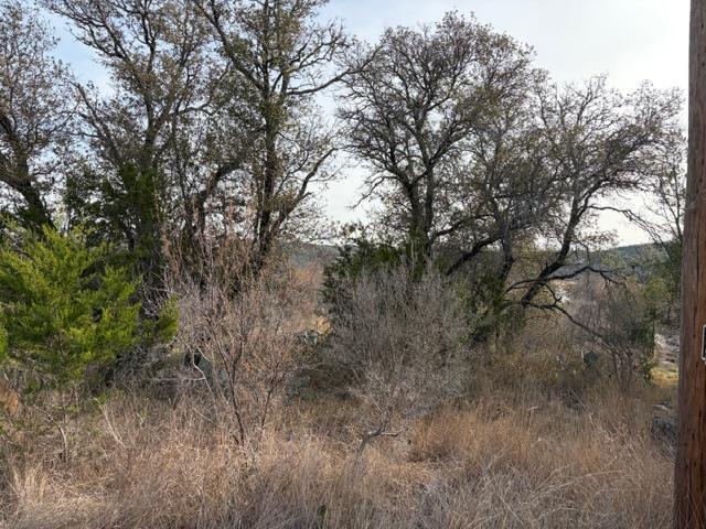 Image 4 Image 4