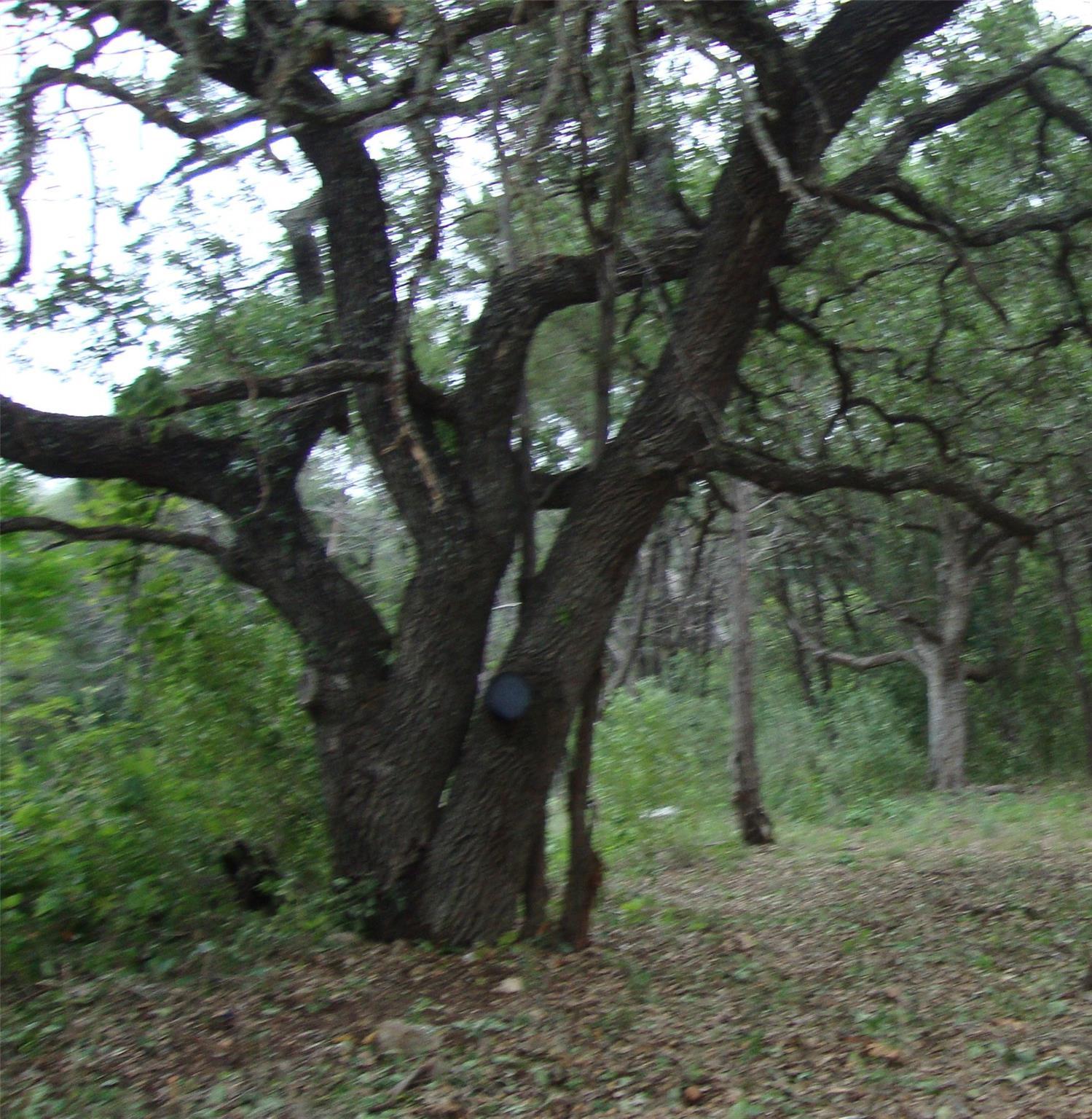 Image 2 Image 2