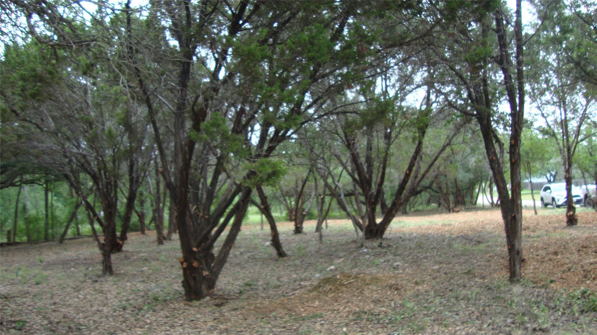 Image 3 Image 3