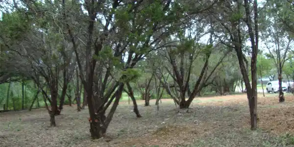 Image 3 Image 3