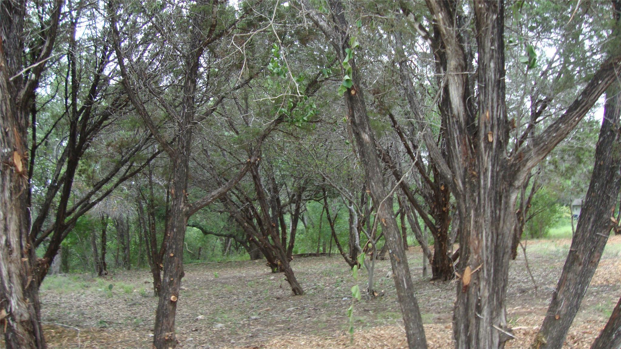 Image 4 Image 4
