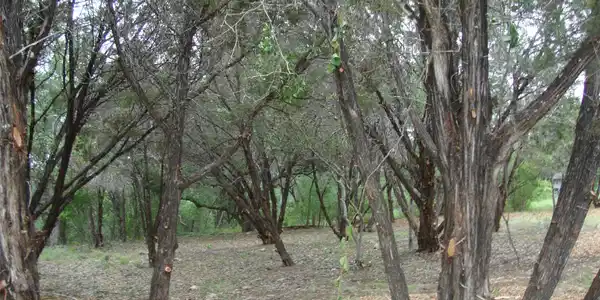 Image 4 Image 4