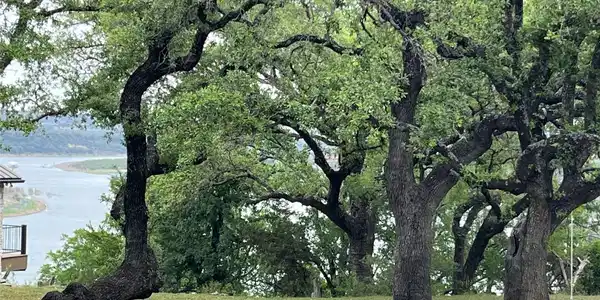 Image 4 Image 4