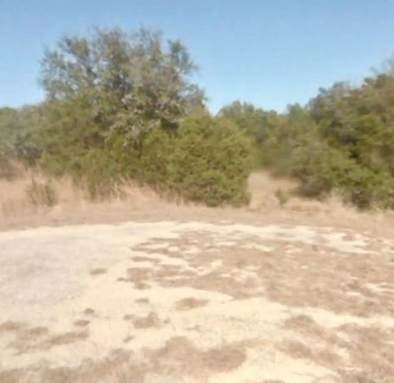 Image 1 Image 1