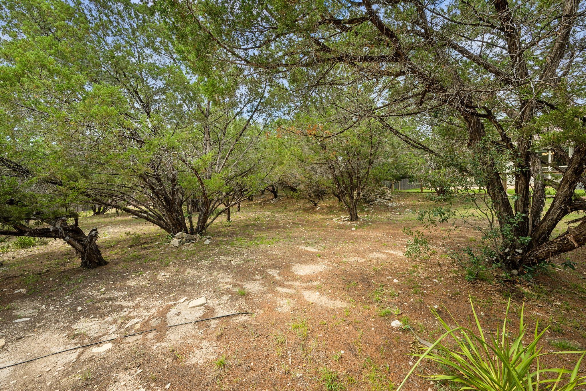 Image 4 Image 4