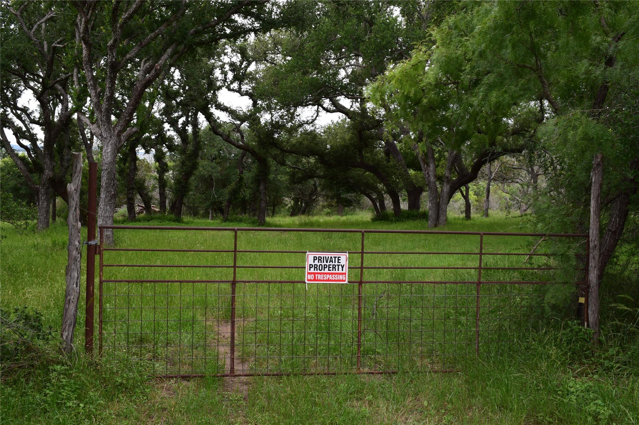 Image 4 Image 4