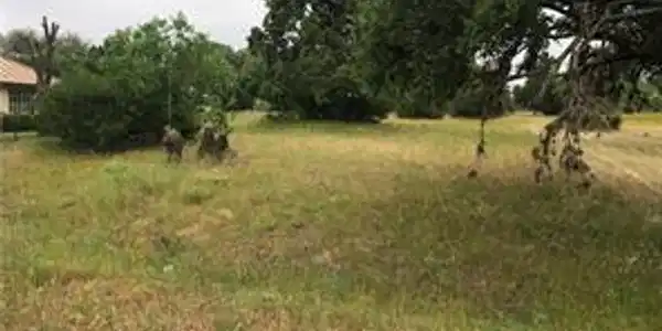Image 4 Image 4
