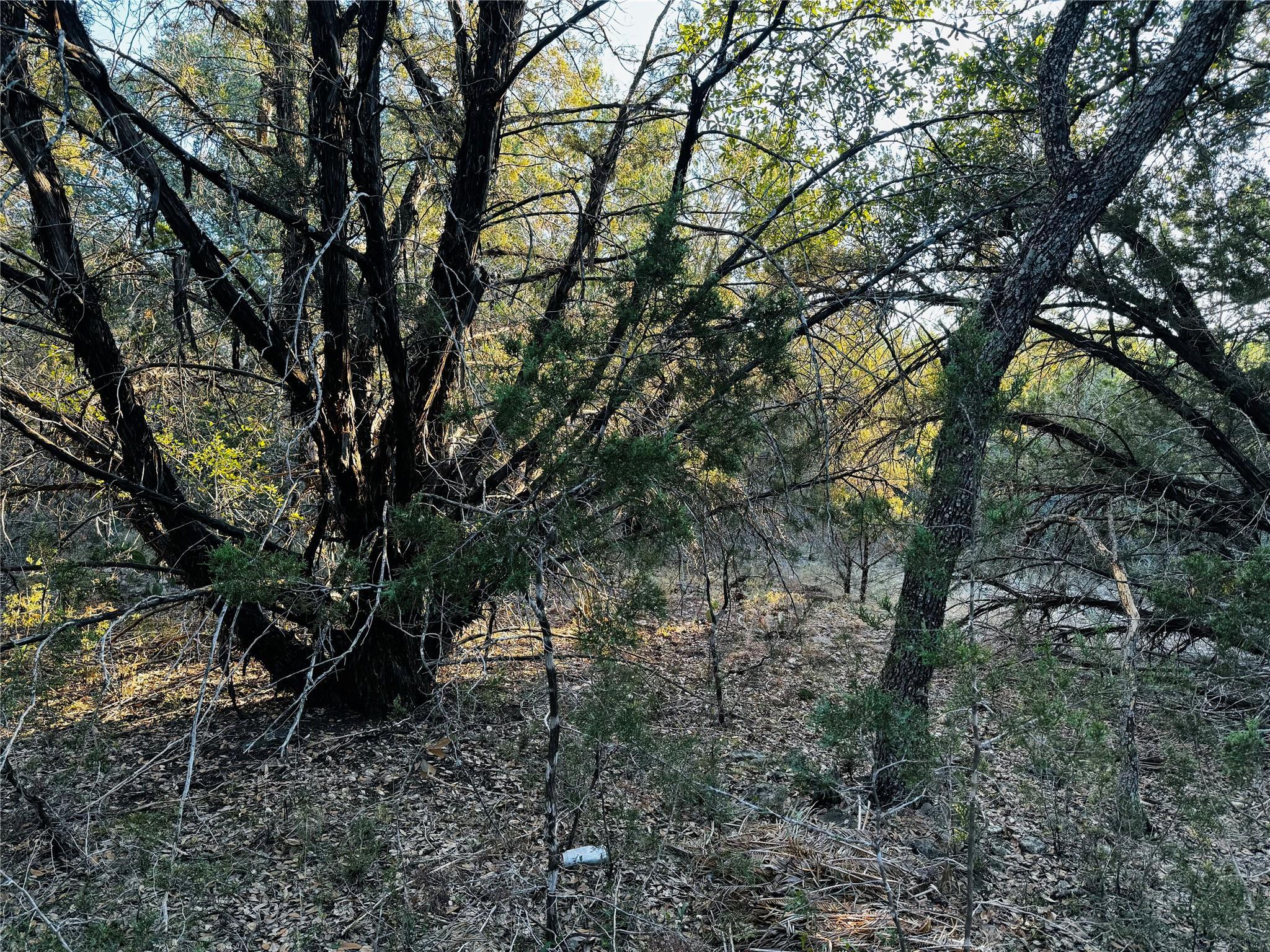 Image 4 Image 4