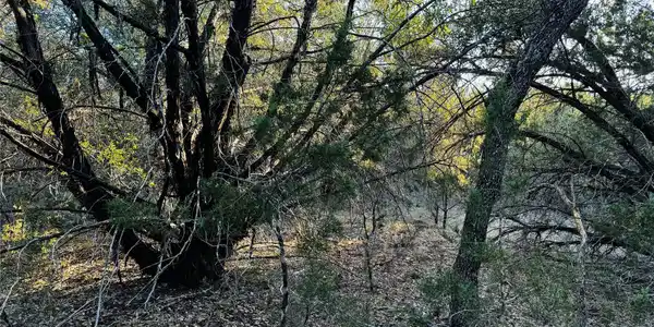 Image 4 Image 4