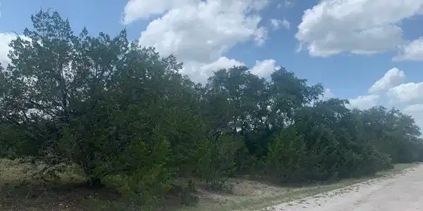 21707 O Hara LN
