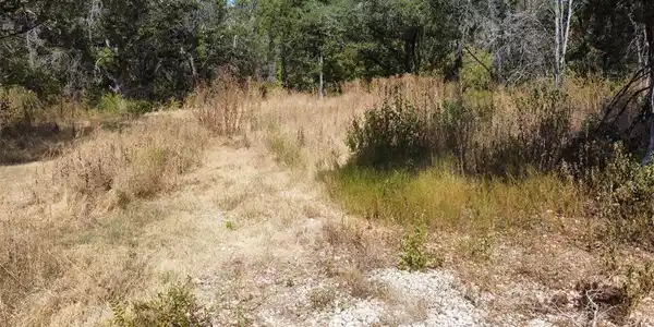 Image 4 Image 4