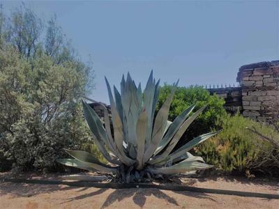 Lot 27 Sierra Bluff BLF