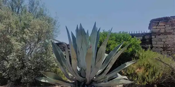 Lot 27 Sierra Bluff BLF