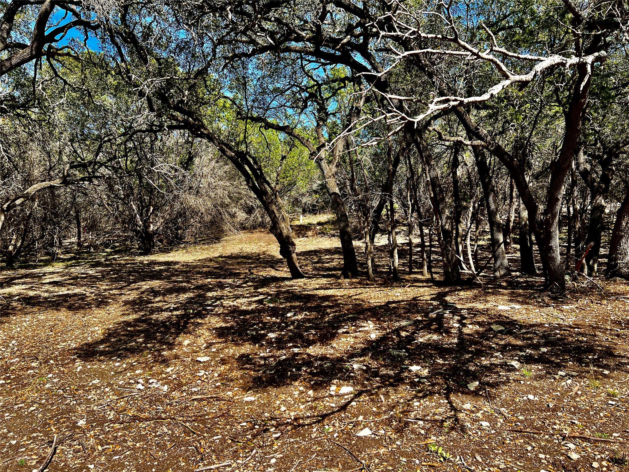Image 3 Image 3