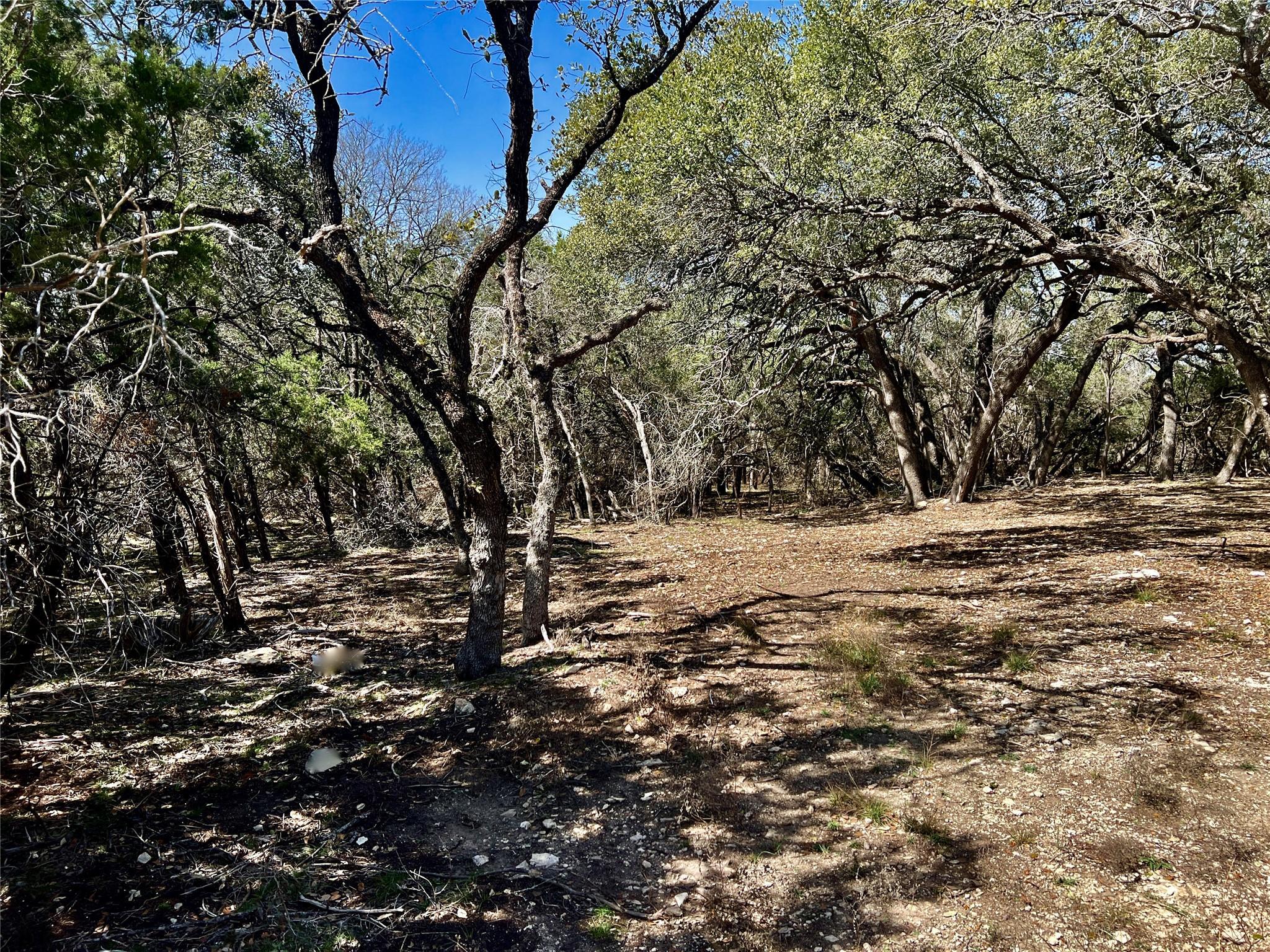 Image 4 Image 4