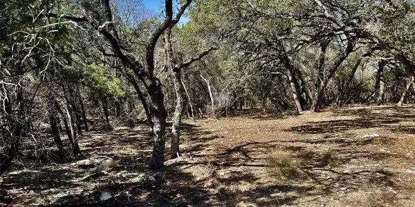 Image 4 Image 4