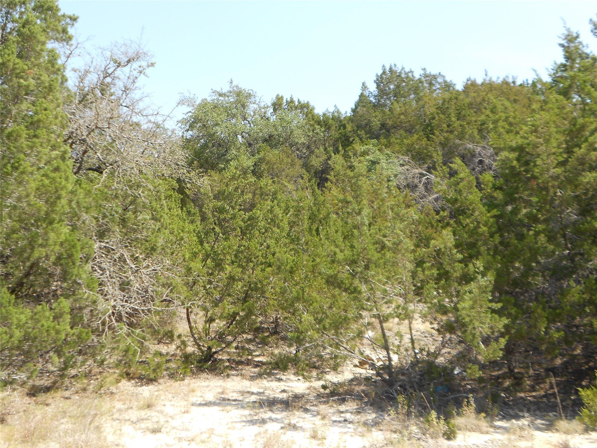 Image 3 Image 3