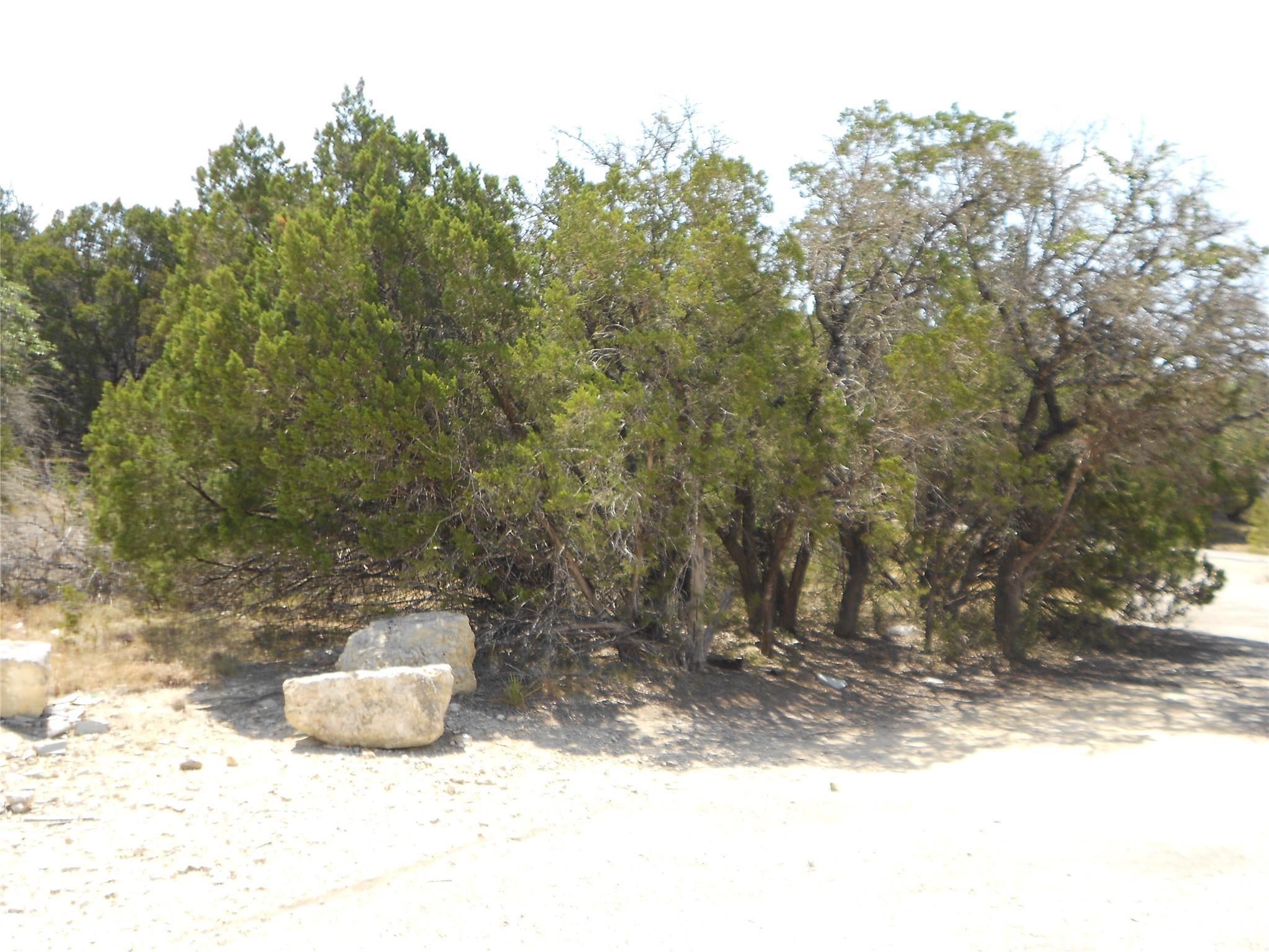 Image 4 Image 4