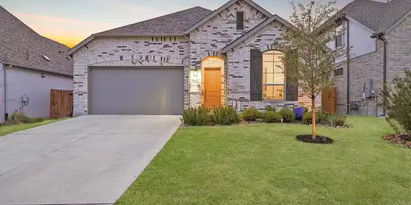 22408 Lavender Cotton WAY