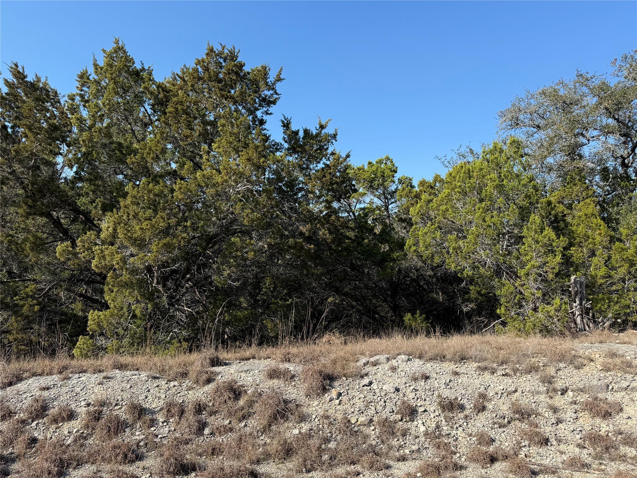 Image 3 Image 3