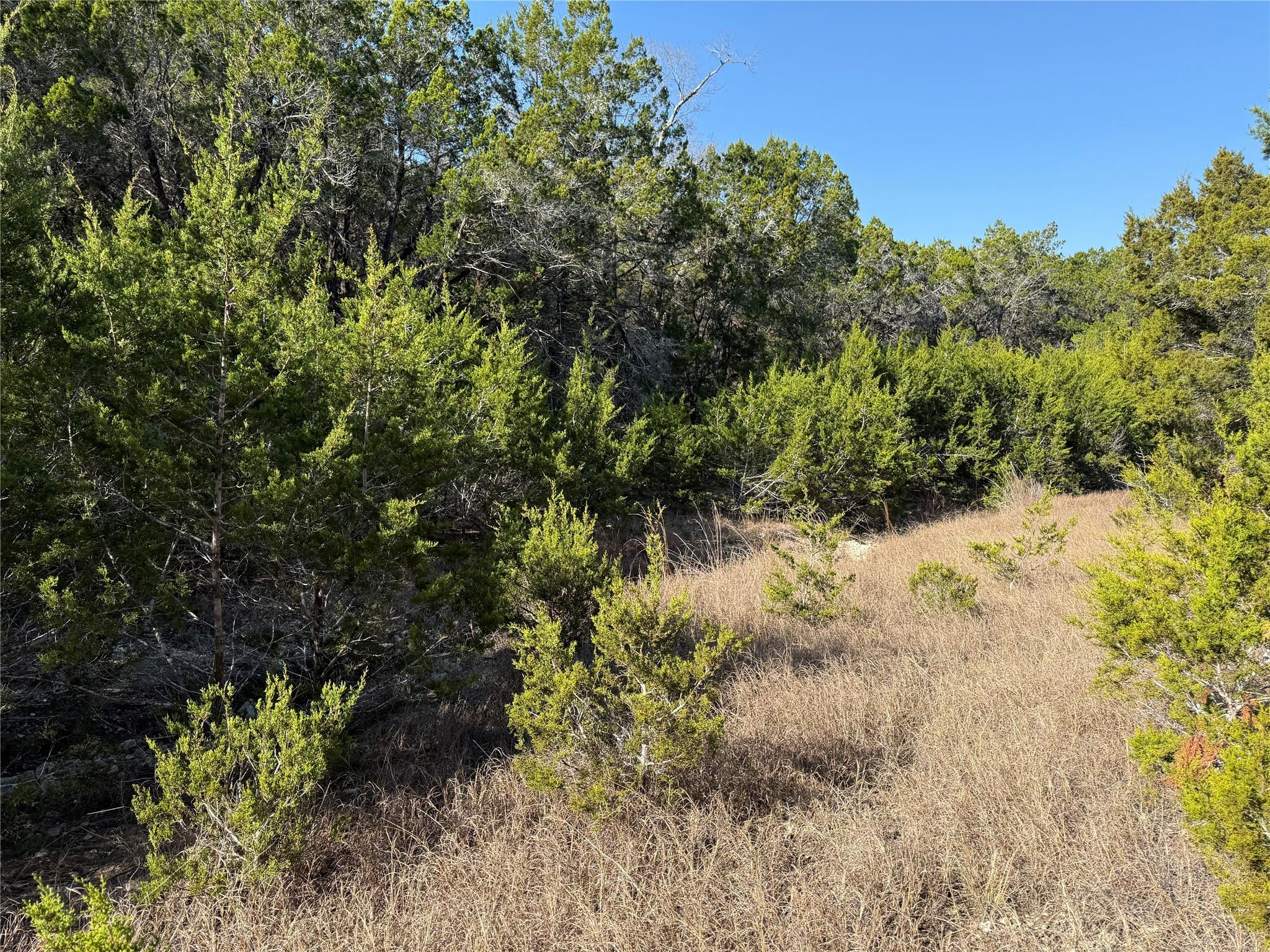 Image 4 Image 4