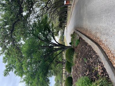 lot 67 Broken Spoke 5 Acres
