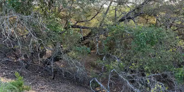 Image 4 Image 4