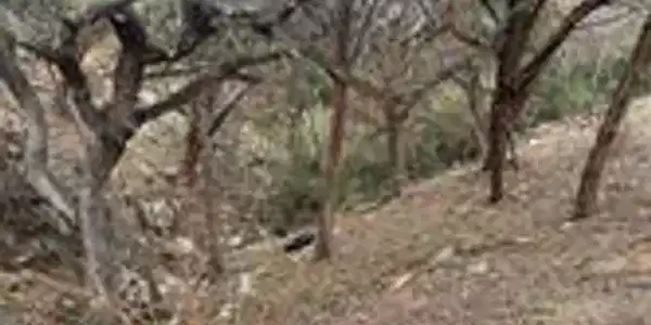 Image 2 Image 2