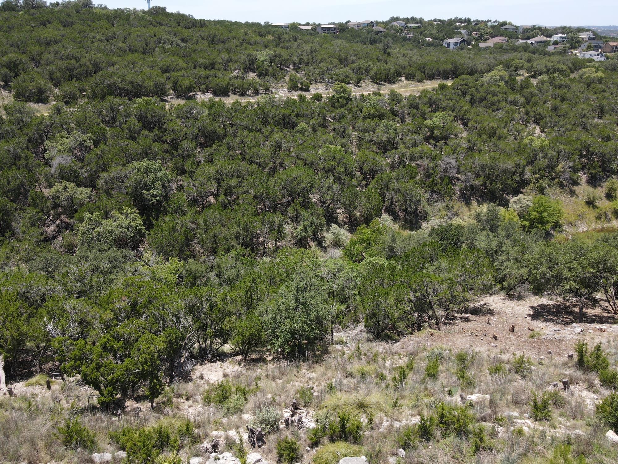 Image 3 Image 3