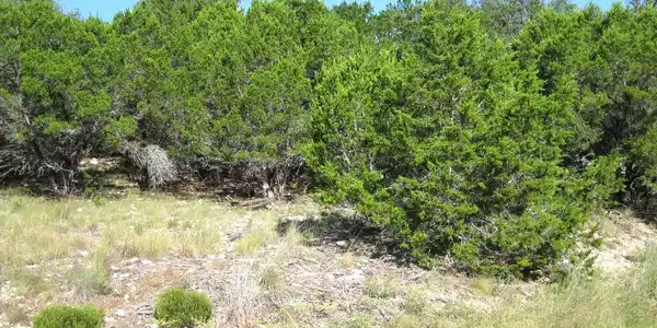 Image 3 Image 3