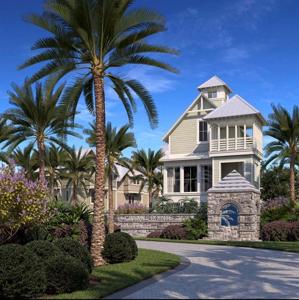 Lot 29 Coconut CT