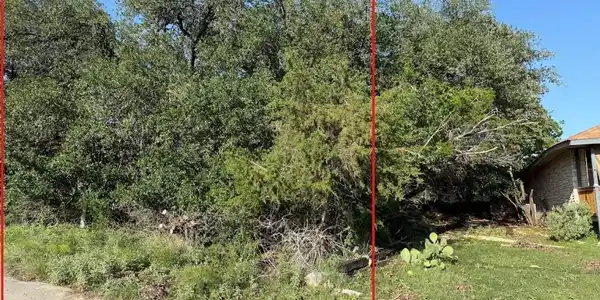 Image 3 Image 3