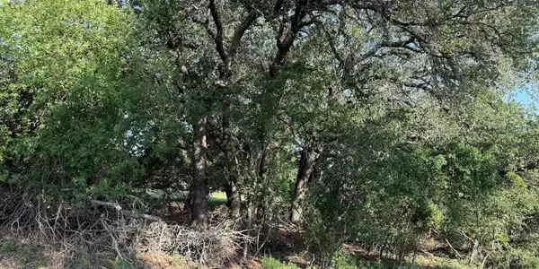 Image 4 Image 4