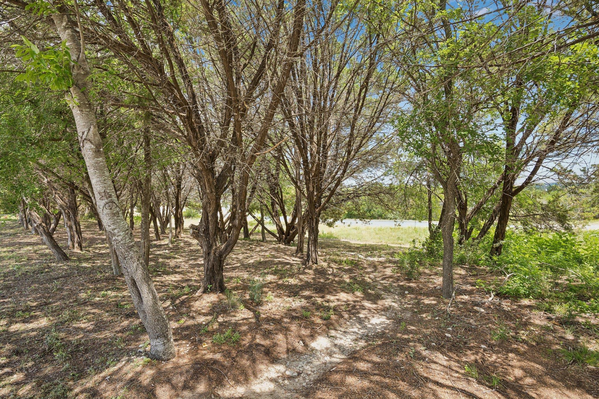 Image 4 Image 4