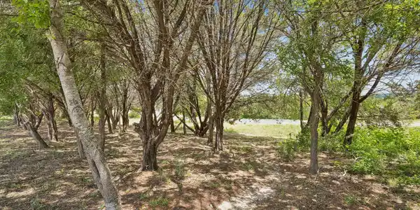 Image 4 Image 4