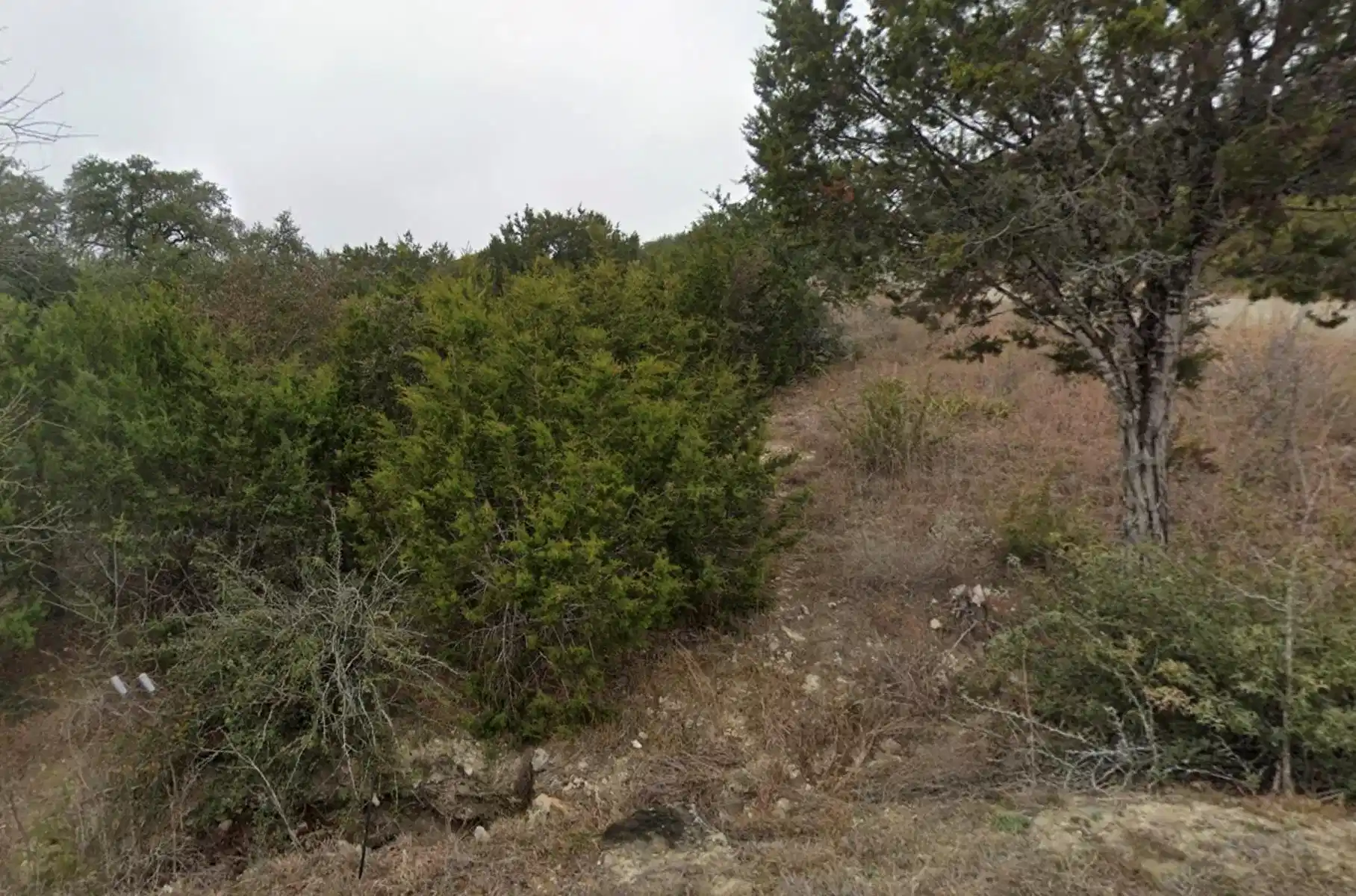 Image 1 Image 1