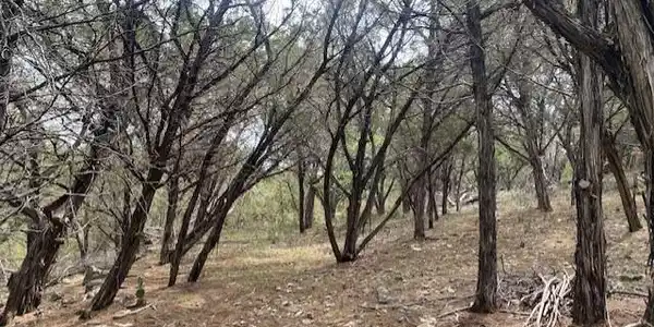 Image 4 Image 4