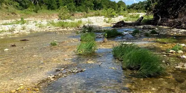 Image 3 Image 3